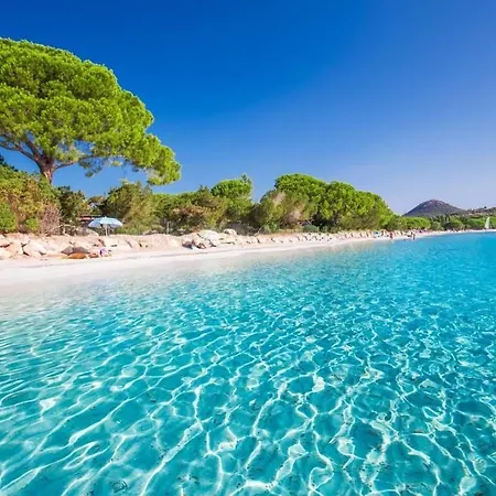 Porto-vecchio بورتو فيكشْيو